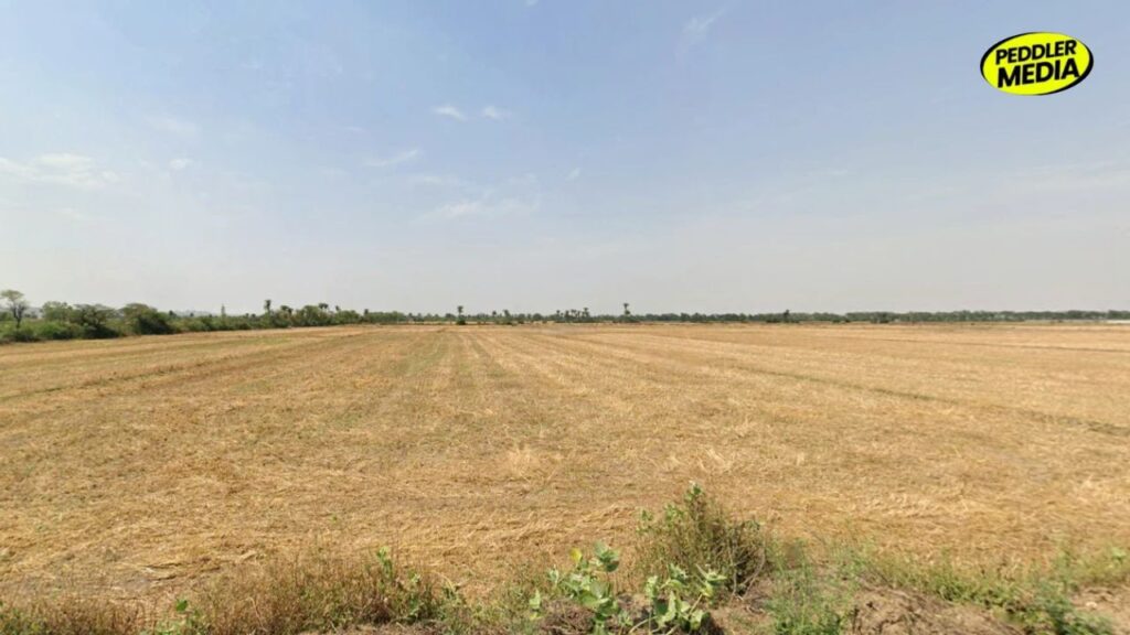 Haryana flat plains near Hisar