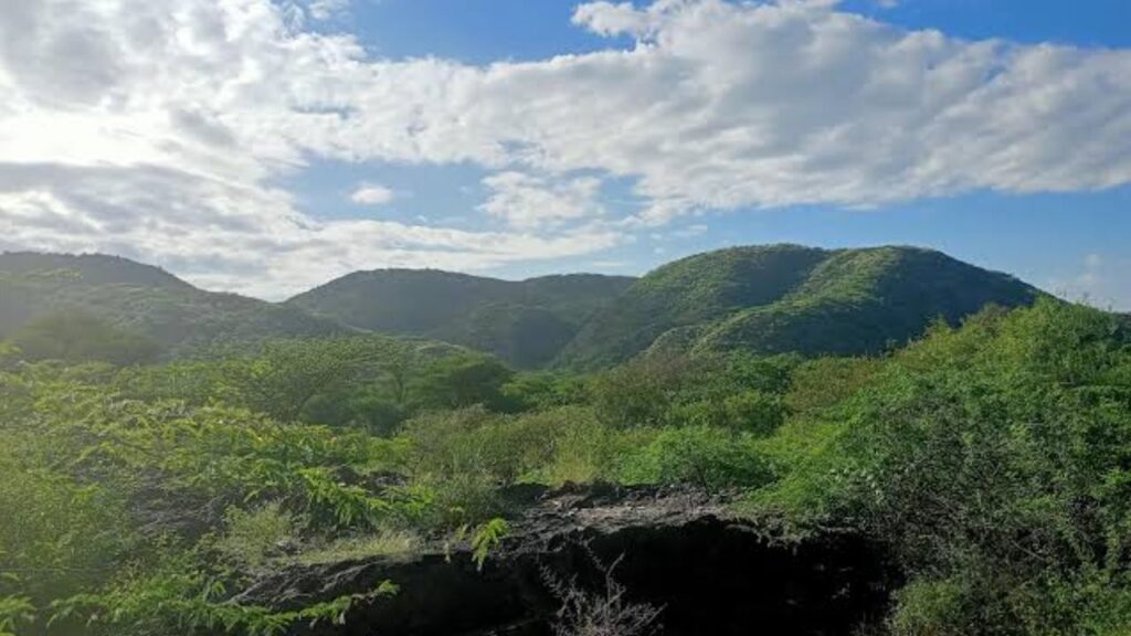 Lush green Aravalli mountain ranges extending under a blue sky with scattered white clouds during Haryana in monsoon.
