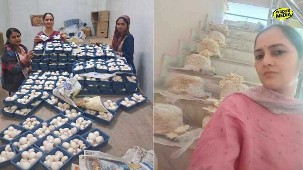 Mushroom Lady of Haryana Dr. Sonia Dahiya with rural women at her mushroom farm