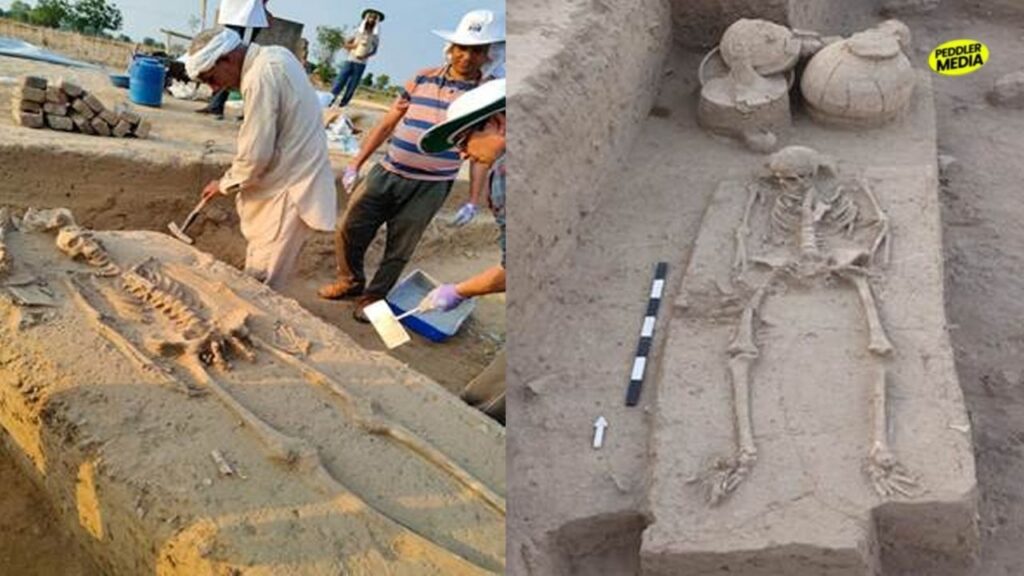 Archaeologists excavating an ancient human skeleton and Harappan pottery at the Rakhigarhi Haryana burial site mound.
